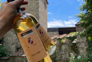 Schlossweingut Stachlburg